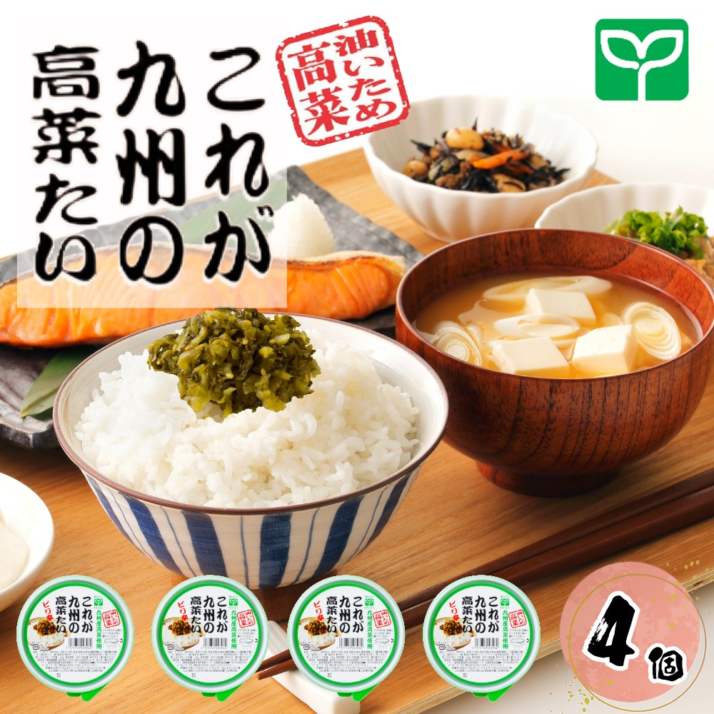 これが九州の高菜たい（140g×4）